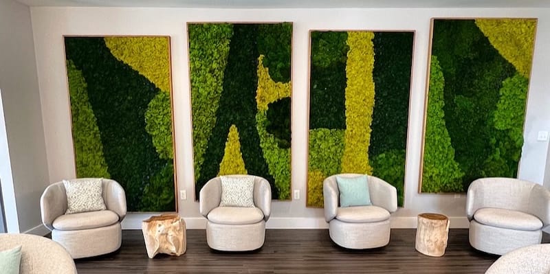 Moss Pur Custom Living Moss Wall
